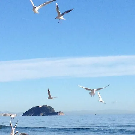 Bilocale Luminoso In Centro A Due Passi Dal Mare Apartment