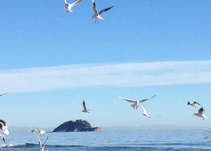Bilocale Luminoso In Centro A Due Passi Dal Mare 아파트